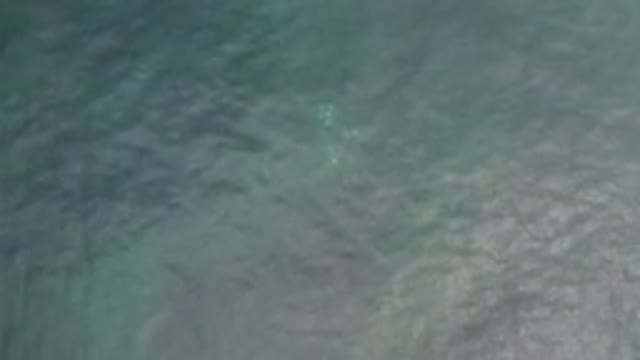 LOS CABOS MEXICO-2020: The Endless Ocean Shining Under The Brightest Sun With Waves