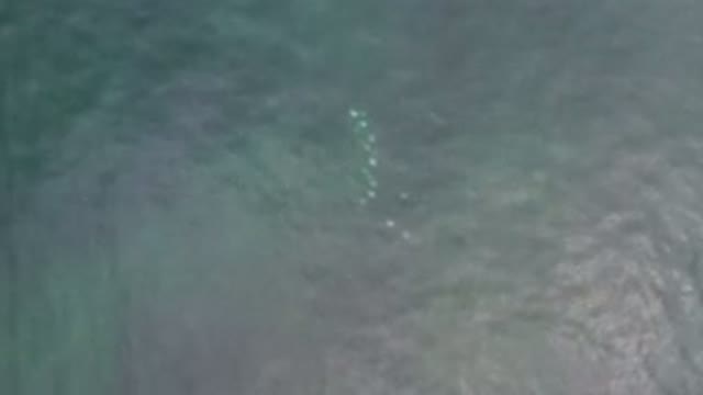 LOS CABOS MEXICO-2020: Something Glowing Is Moving Under Deep Gray Colored Water