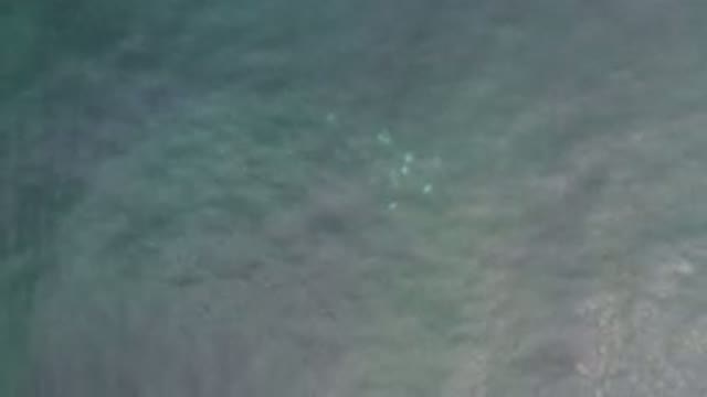LOS CABOS MEXICO-2020: Deep Dark Blue Ocean Waves And School Of Fish Seen From