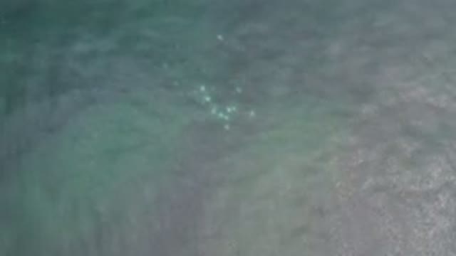 LOS CABOS MEXICO-2020: Waves On Gray Dark Water Surface With Ripples And Slight