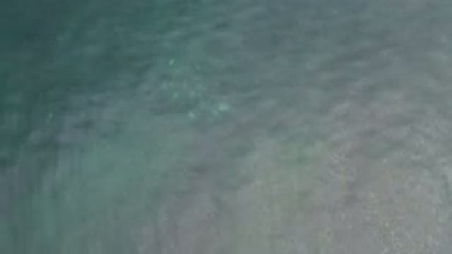 LOS CABOS MEXICO-2020: Tranquil Body Of Water With Gentle Waves Dancing Across