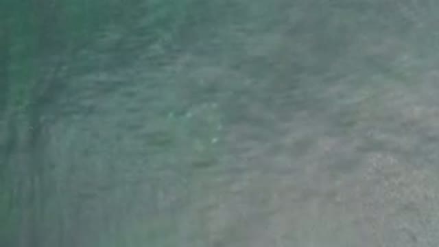 LOS CABOS MEXICO-2020: Calm Water Calm Green Sea