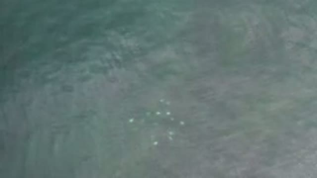 LOS CABOS MEXICO-2020: Deep Sea With Small Fish Swimming and Gentle Waves