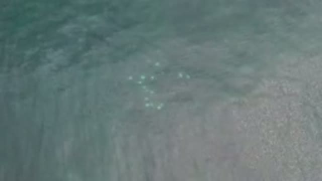 LOS CABOS MEXICO-2020: Water With Light Waves And Fish Or White Spot Underneath