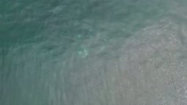 LOS CABOS MEXICO-2020: Bright Objects Submerged and Moving in Water