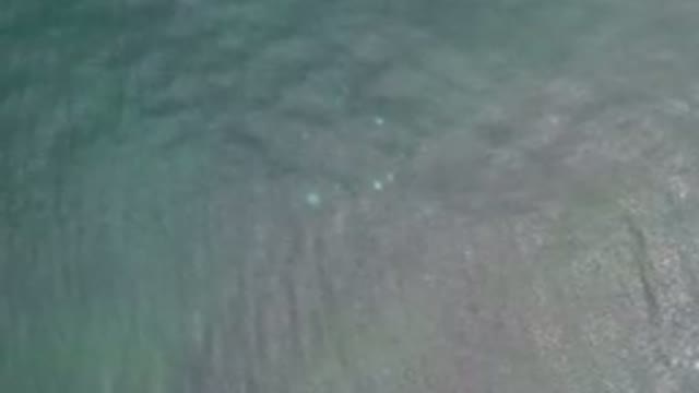LOS CABOS MEXICO-2020: Calm Water With Colors Seeming To Resemble The Shades Of