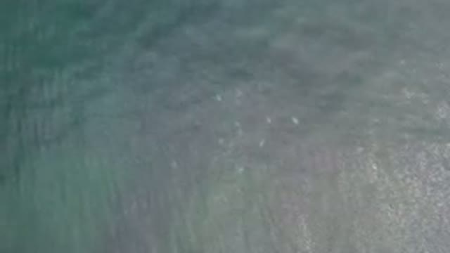 LOS CABOS MEXICO-2020: Cool And Beautiful Footage Of Waves And Crystal Clear Water