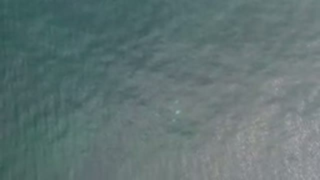 LOS CABOS MEXICO-2020: Calm Green Sea On A Calm Day