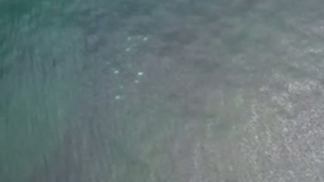 LOS CABOS MEXICO-2020: Vast Ocean Waves Moving Fast And Freely During Sunny Day