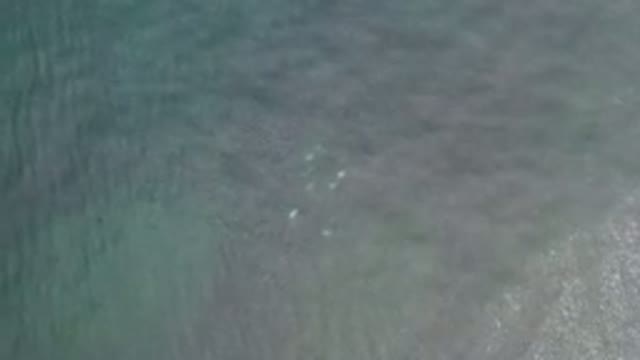 LOS CABOS MEXICO-2020: Beautiful And Quiet View From The Top To The Depths Of