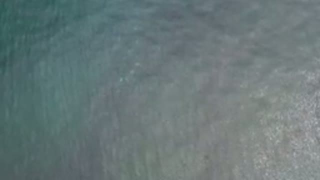 LOS CABOS MEXICO-2020: Fish Swimming Under Deep Blue And Green Ocean Water As