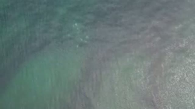 LOS CABOS MEXICO-2020: Happy Clear Scene of a Green Sea Relaxes Anyone