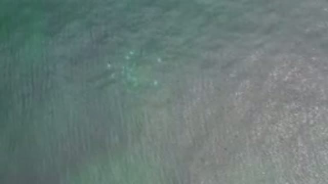 LOS CABOS MEXICO-2020: Still Calm Clear Water Moving Toward The Right