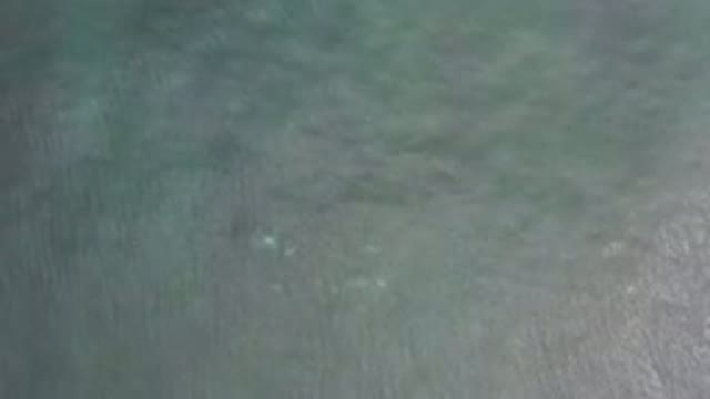 LOS CABOS MEXICO-2020: Peaceful And Beautiful Footage Of Waves And Crystal Clear