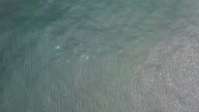 LOS CABOS MEXICO-2020: Calm Water On A Beautiful Day