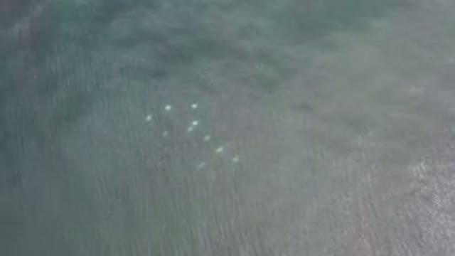 LOS CABOS MEXICO-2020: Fish Under The Water As Sun Shimmers On The Surface Of