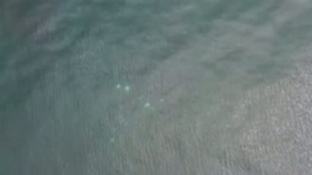 LOS CABOS MEXICO-2020: Aerial Camera Captures Unidentified White Objects in Ocean