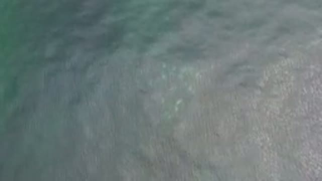 LOS CABOS MEXICO-2020: Clean And Calm Water With Blurry Display Of Small Fish