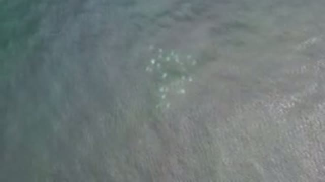 LOS CABOS MEXICO-2020: The Ripples In The Water Are Involving And Intriguing
