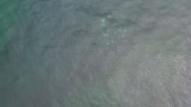 LOS CABOS MEXICO-2020: Calm Sea On A Warm Summer Day
