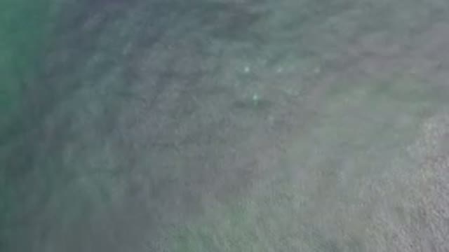 LOS CABOS MEXICO-2020: HD Beautiful Footage Of Waves And Crystal Clear Water