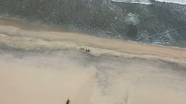 LOS CABOS MEXICO-2020: Long View Of Beach Where The Water And Sand Touches