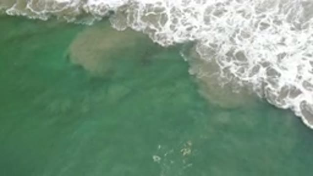 LOS CABOS MEXICO-2020: Golden And Wonderful Day in Mexico By The Beach