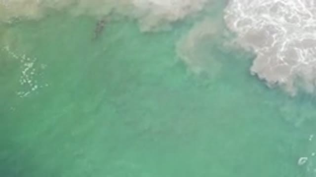 LOS CABOS MEXICO-2020: Relaxing Scene of a Green Sea