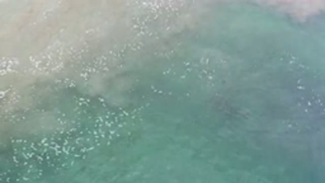 LOS CABOS MEXICO-2020: Clear Foamy Water Mixes With Nearby Sand Creating