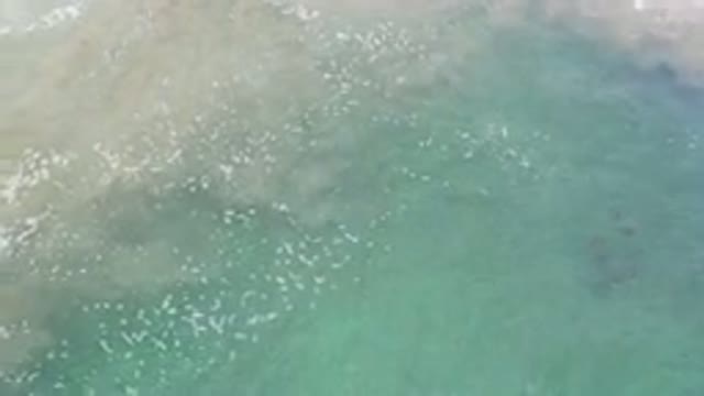 LOS CABOS MEXICO-2020: Mysterious Formation In The Ocean With Fish Swimming