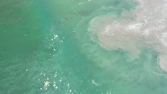LOS CABOS MEXICO-2020: Blue and Green Ocean Wave Traveling Peacefully and Moving