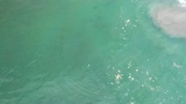 LOS CABOS MEXICO-2020: Rippling Water and Waves of the Green Ocean
