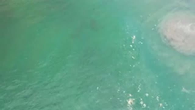 LOS CABOS MEXICO-2020: Green Water Waves and Sea Fishes Scenery