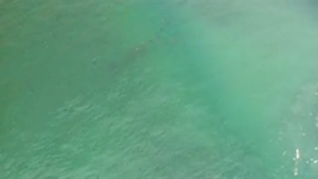 LOS CABOS MEXICO-2020: Most Beautiful Scene of a Clear Green Sea Feels Relaxing