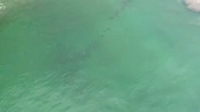 LOS CABOS MEXICO-2020: Green Sea Waves Make Me Happy