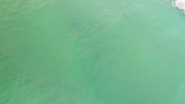 LOS CABOS MEXICO-2020: Emerald Green Ocean Shimmers And Undulates Peacefully