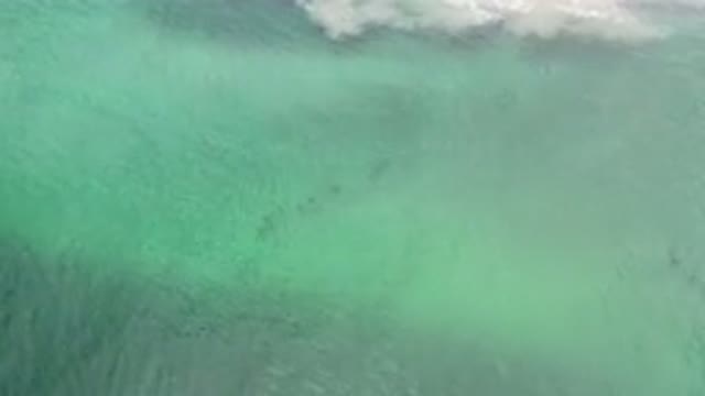 LOS CABOS MEXICO-2020: Aqua Water Swells With Life Rolling Waves Attract Ocean