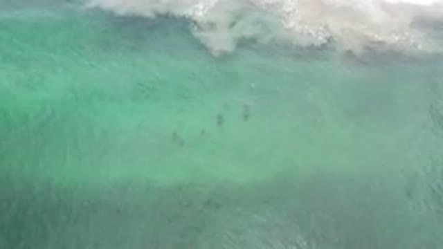 LOS CABOS MEXICO-2020: Ocean Water Waves Pass By