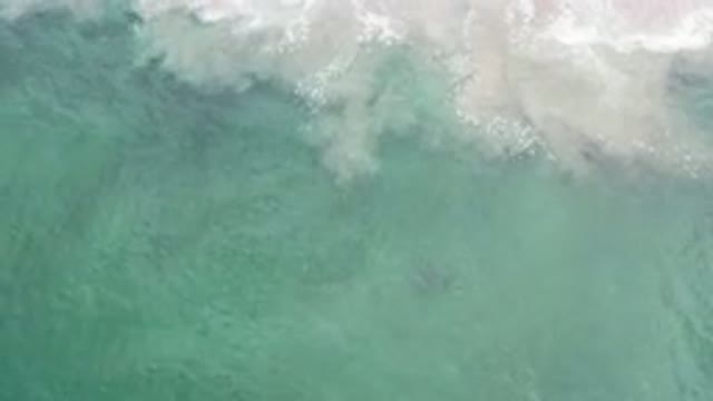 LOS CABOS MEXICO-2020: Merry and Wonderful Day by the Beach