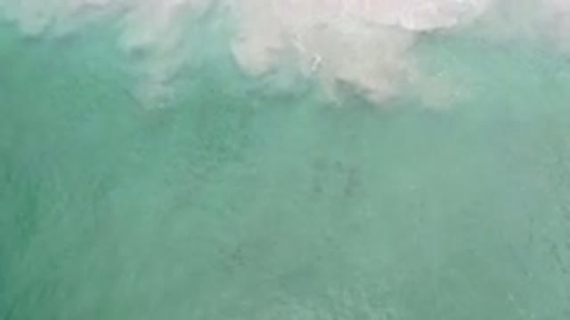 LOS CABOS MEXICO-2020: Aerial View Of Gently Rolling Wave Approaching Shore With