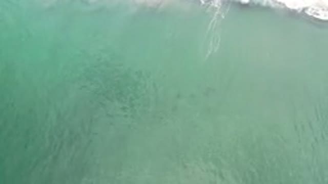 LOS CABOS MEXICO-2020: Beautiful Natural Ocean Waters Gleaming In The Light Of