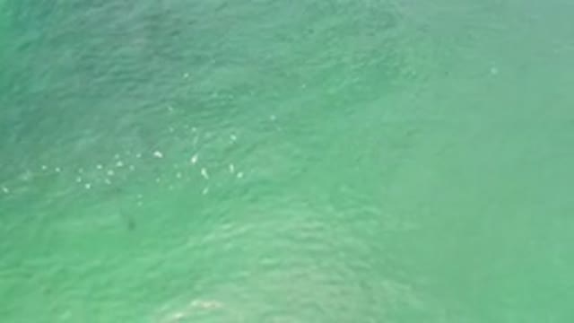 LOS CABOS MEXICO-2020: Nice And Amazing Green Crystal-like Water