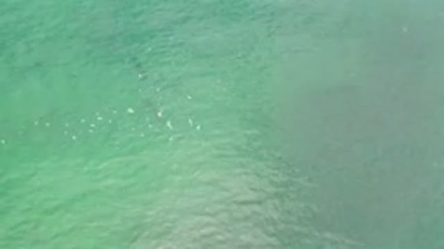 LOS CABOS MEXICO-2020: Crystal Green Waters Moved Slightly By The Wind And Tide
