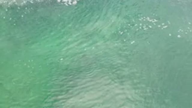 LOS CABOS MEXICO-2020: Calming Ocean Green Water Slow Waves And Tides Of Surfing