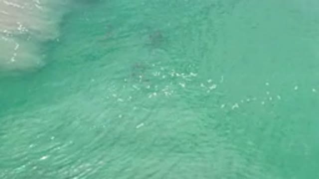 LOS CABOS MEXICO-2020: Footage Of Beautiful Green Water With Rocks At The Bottom