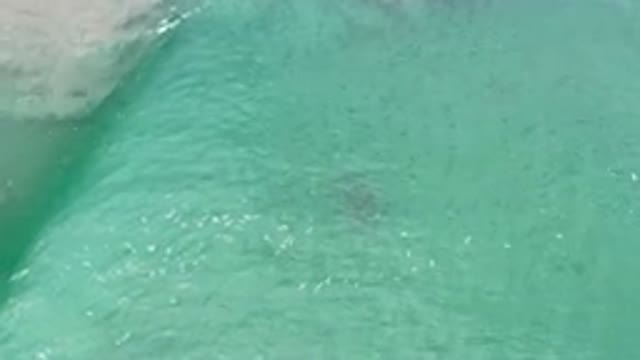 LOS CABOS MEXICO-2020: Green Water Waves On Beach With Loose Sands
