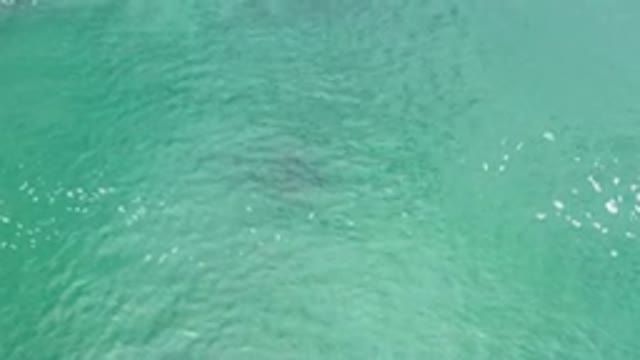 LOS CABOS MEXICO-2020: Footage Of Crystal Clear Water With Waves And Sunshine