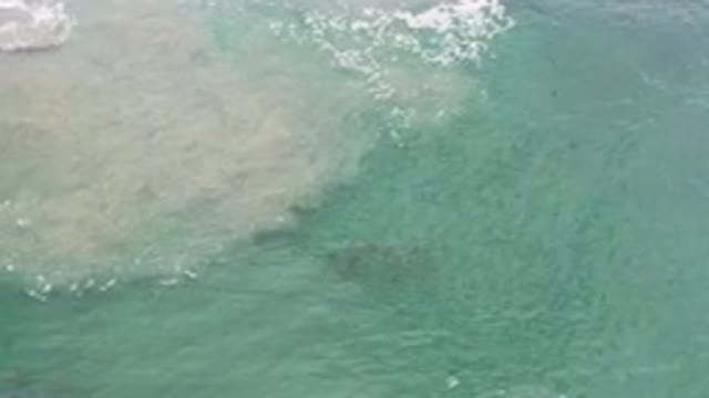 LOS CABOS MEXICO-2020: The Clean Clear Crystal Sea Moving With The Wind On A