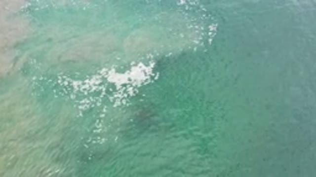 LOS CABOS MEXICO-2020: Blue Green Ocean Waves With Whitecaps Muddy From Mixing