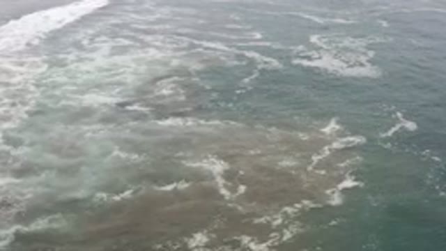 LOS CABOS MEXICO-2020: Aerial View Of The Movement Of Translucent Green Sea